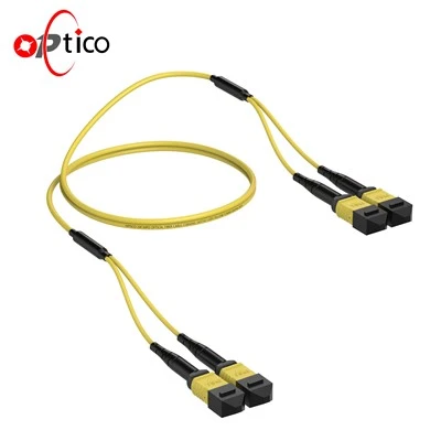 24F MPO TROK SM MM ayol 2 × 12 ta moslashuvchan