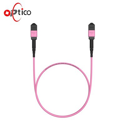 16F MPO - MPO ayol magistral kable OM4